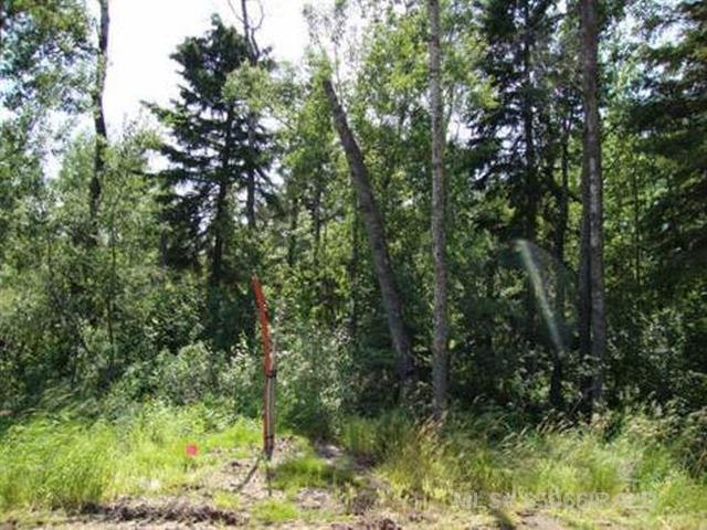 Lot 1 Blk 5 Lakeside Drive, Perch Lake, SK, S0M 2G0