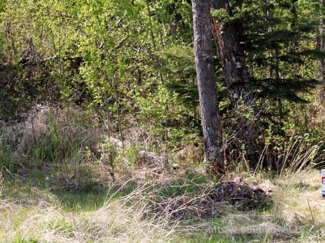 Lot 2 Blk 5 Lakeside Drive, Perch Lake, SK, S0M 2G0
