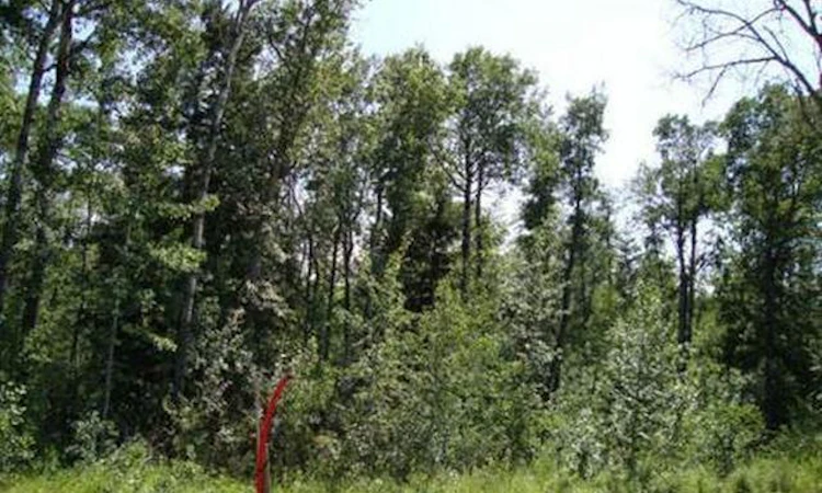 Lot 3 Blk 5 Lakeside Drive