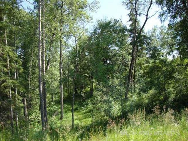 Lot 4 Blk 5 Lakeside Drive, Perch Lake, SK, S0M 2G0