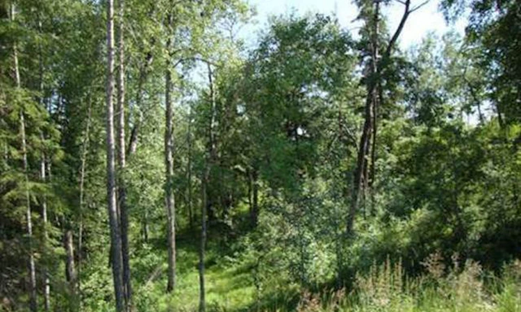 Lot 4 Blk 5 Lakeside Drive