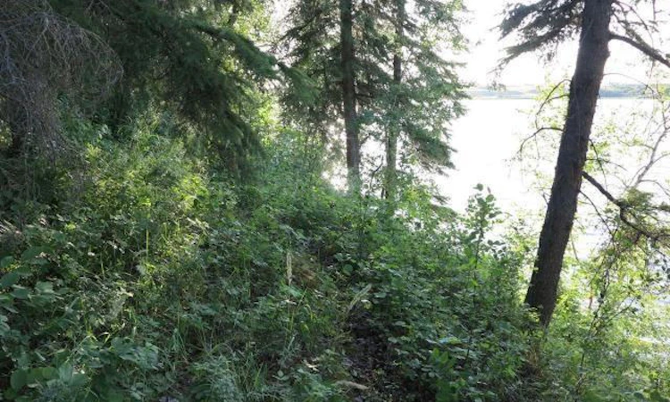Lot 12 Blk 1 Lakeside Drive