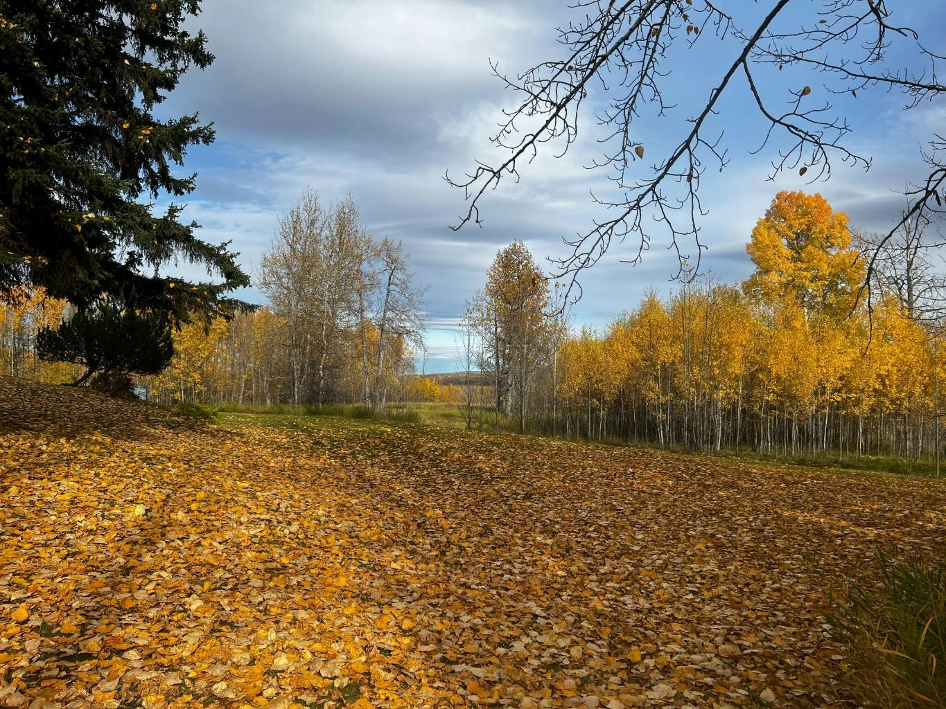 Lot 2-120053 Township Road 584, Woodlands County, AB, T7S 1A1