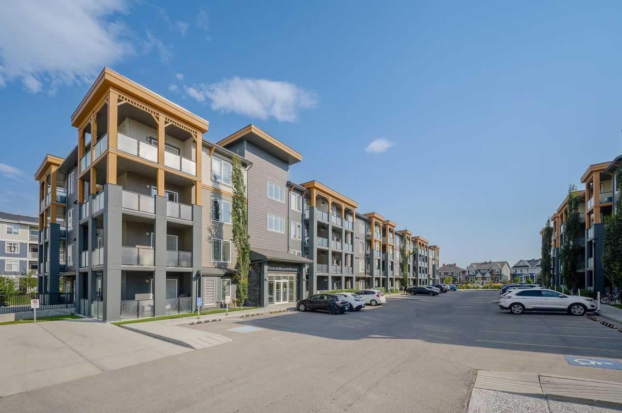 305-100 Auburn Meadows Manor SE, Calgary, AB, T3M 3H2