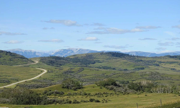 295080 Highway 533