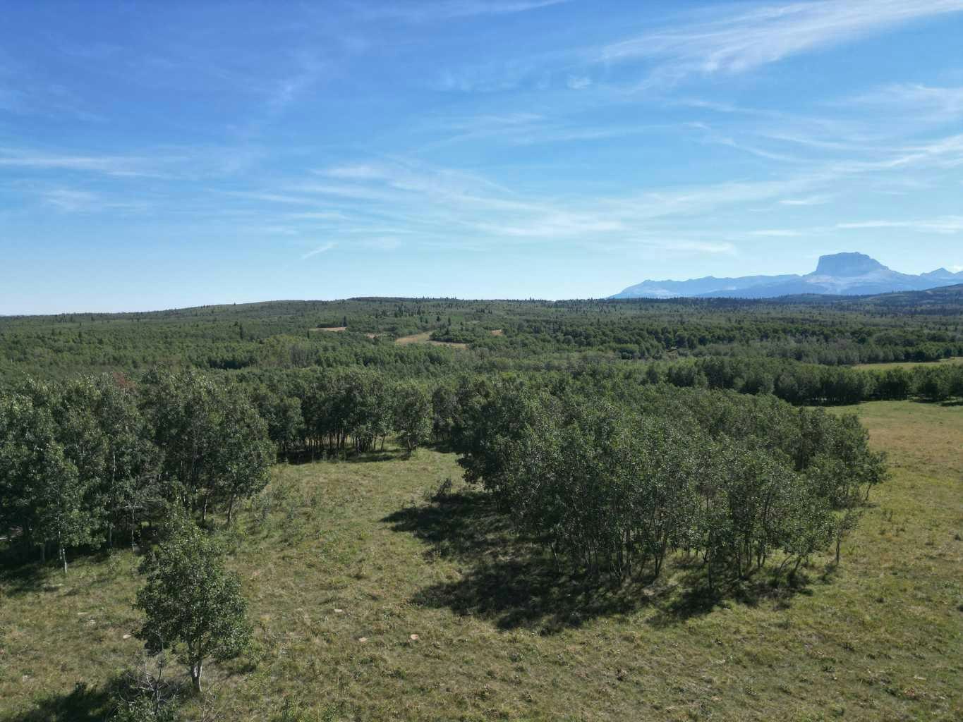 Near Sedden Road, Cardston, AB, T0K 0K0