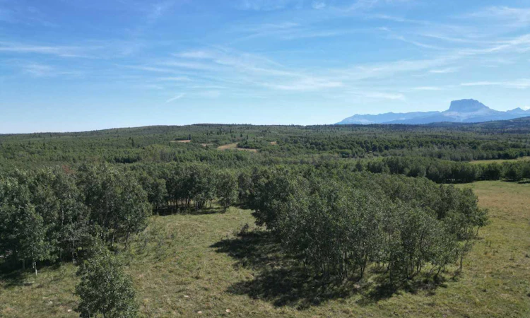 Near Sedden Road