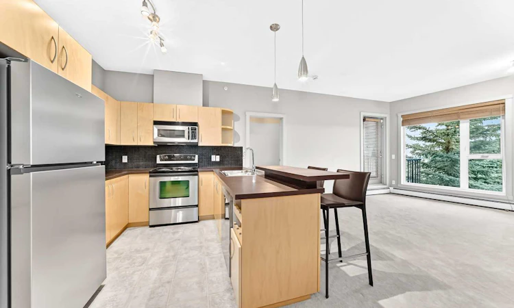 306-69 Springborough Court SW