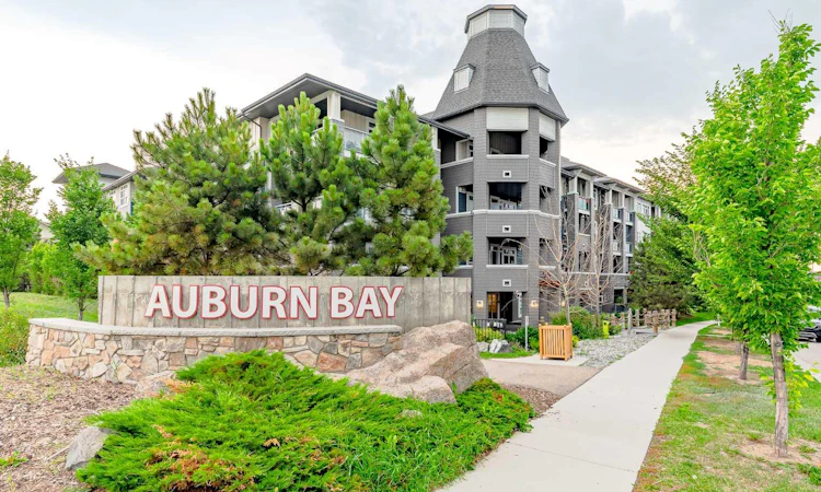 223-25 Auburn Meadows Avenue SE