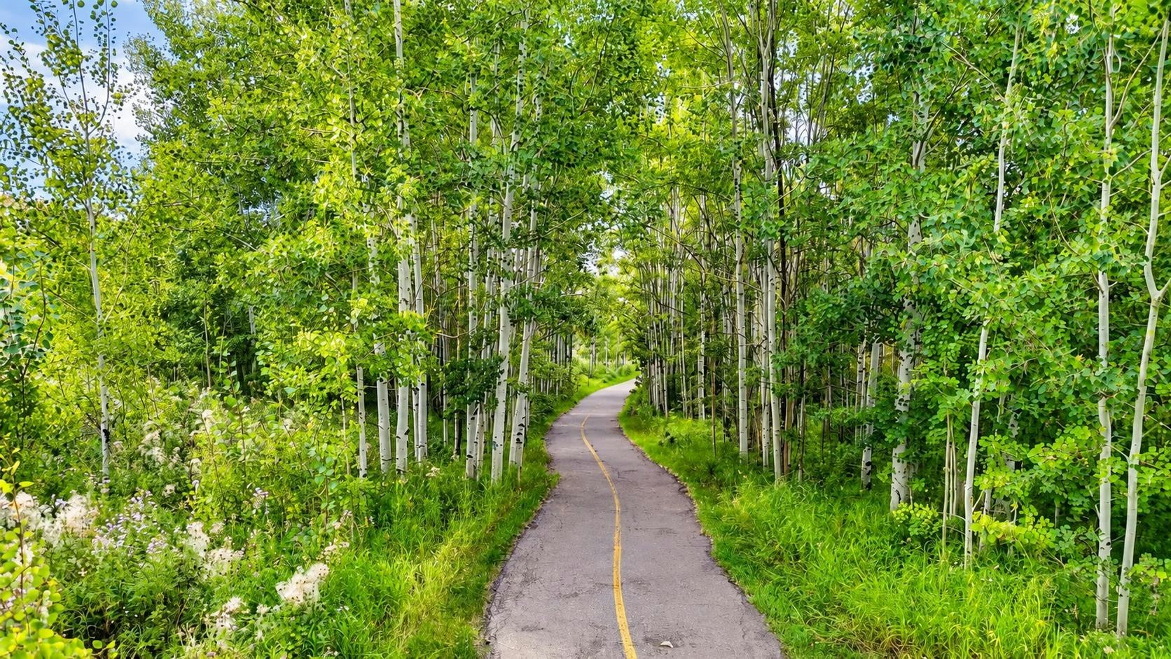 10 Chaparral Ridge Park SE, Calgary, AB, T2X 0E4