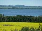 14-420069 Range Road 284, Rural Ponoka County, AB, T4J 1R3