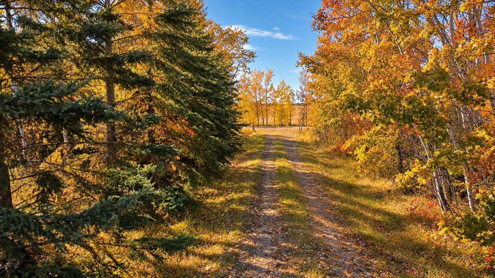 On Rr 251, Red Deer County, AB, T0M 1S0