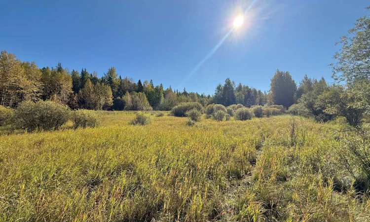 18509 Twp Rd 521a