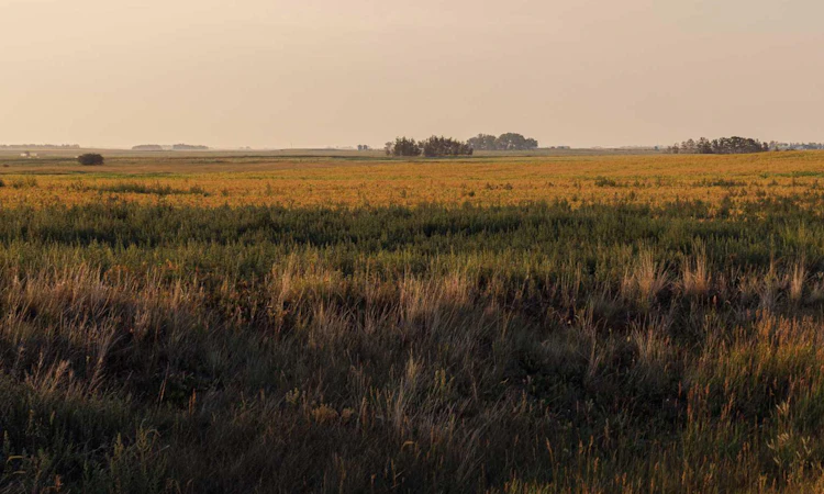 Parcel 6 Range Road 271 Just South Of Highway 9.