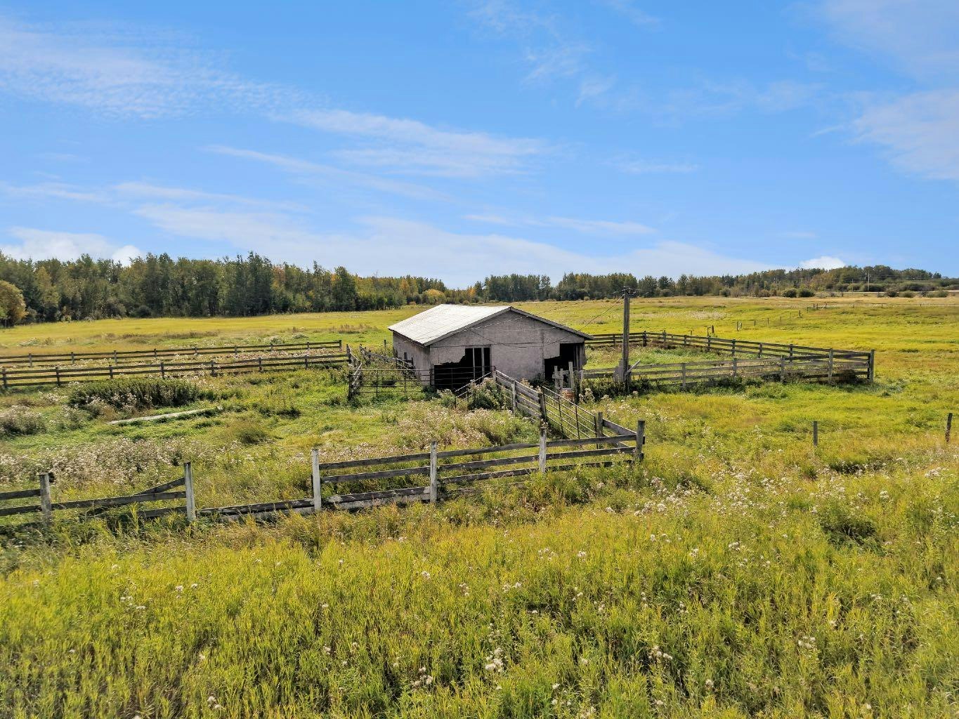 72167 Hwy 49, Greenview M.D., AB, T0H 3N0 - 9
