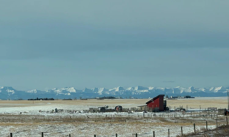 272079 Highway 547
