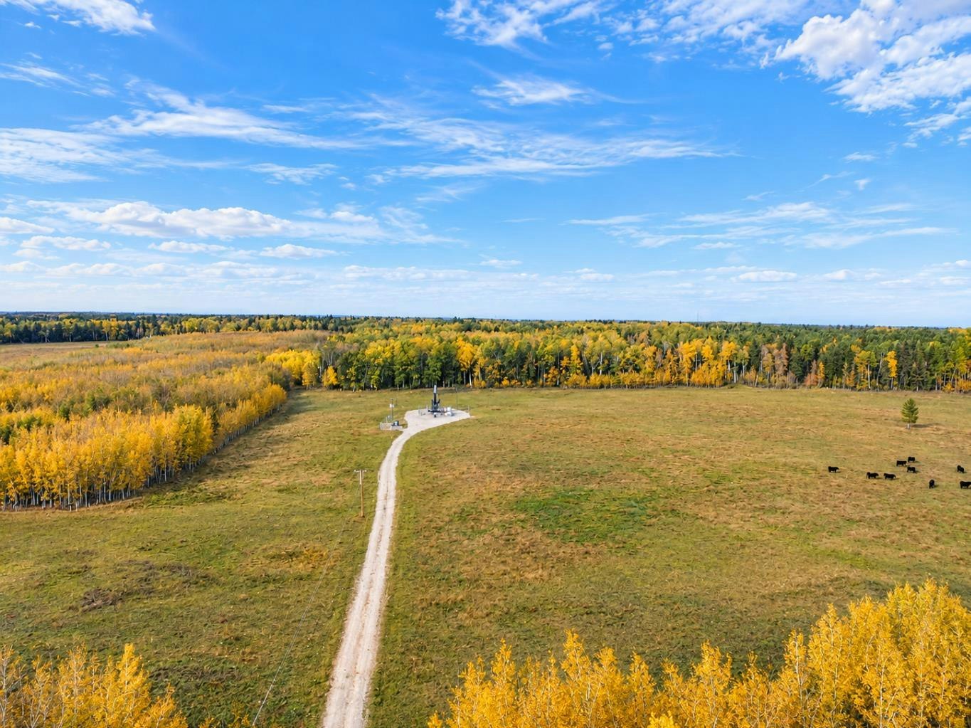 32310 Range Road 45, Rural Mountain View County, AB, T0M 1X0