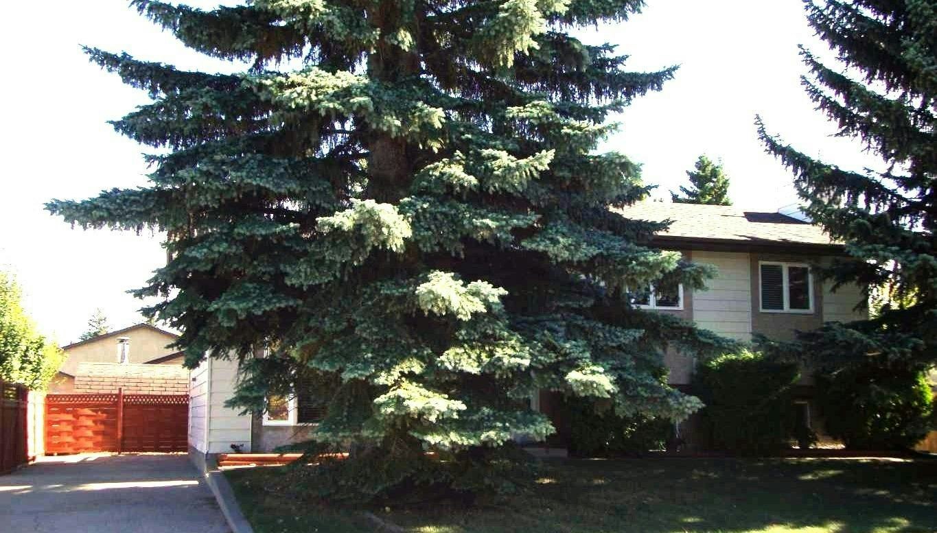 9 Ray Avenue, Red Deer, AB, T4P 3B9