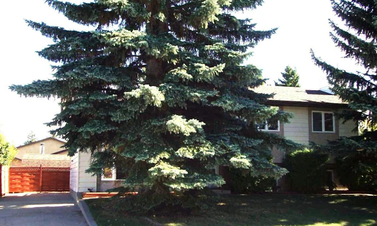 9 Ray Avenue