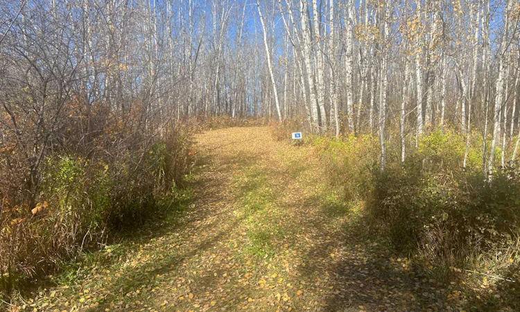 36-50408 Range Road 203
