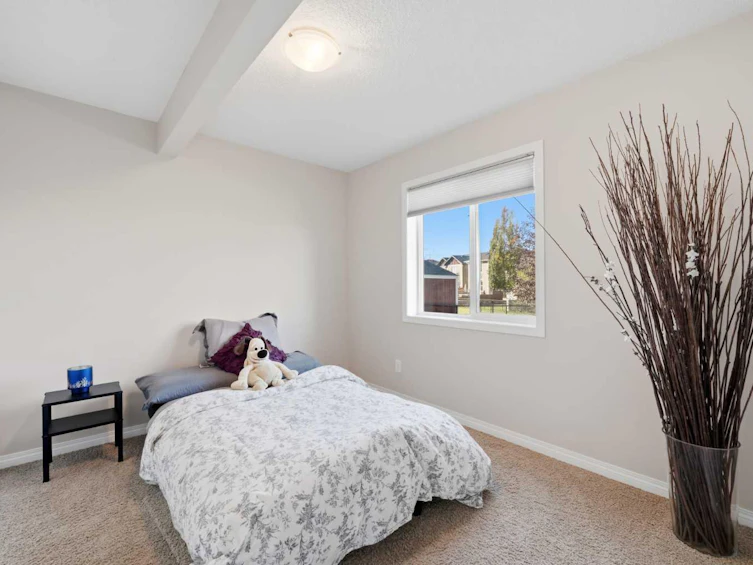 113 Drake Landing Heath, Okotoks, AB, T1S 0G8 - 36