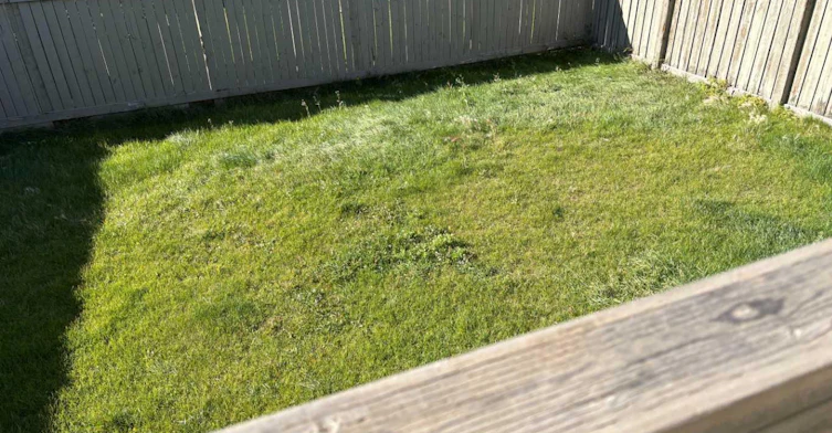 B(UP)-10138 85a Street, Grande Prairie, AB, T8X 0N7 - 10