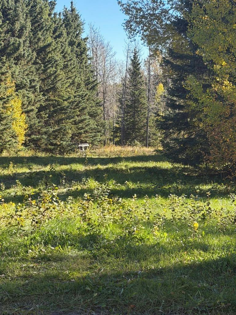6015 Township Road 334, Rural Mountain View County, AB, T0M 1X0