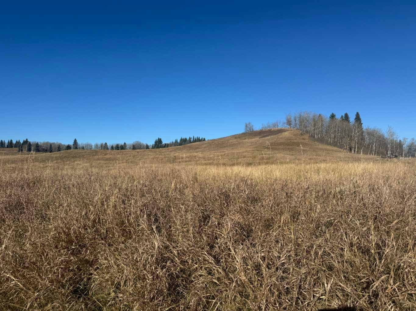 ON 264 Avenue W, Foothills County, AB, T1S 5H9