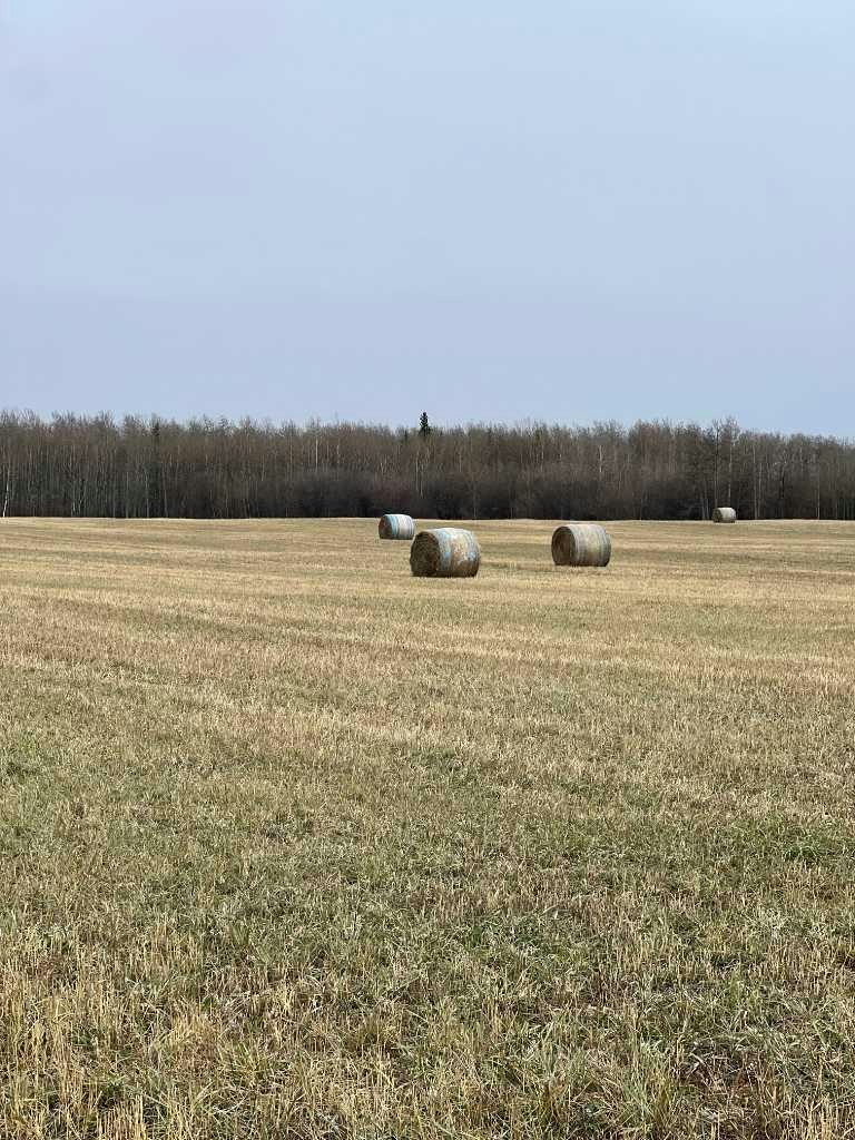 SW-15-72-11-W6 ., County of Grande Prairie, AB, T0H 1T0