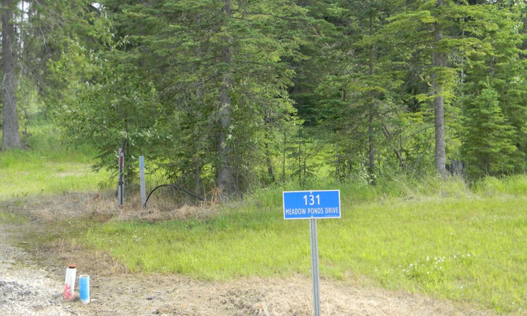 131 Meadow Ponds Drive