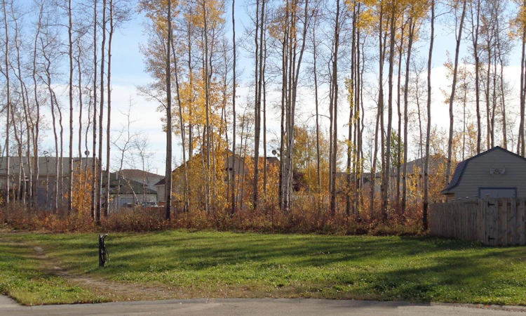 5 Birch Close