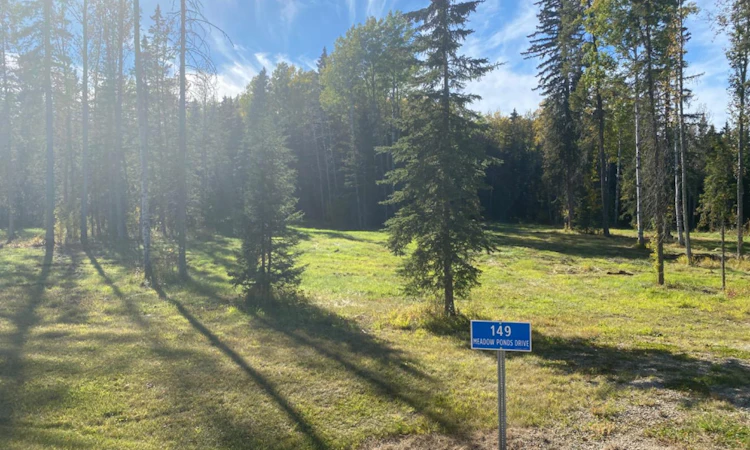149 Meadow Ponds Drive