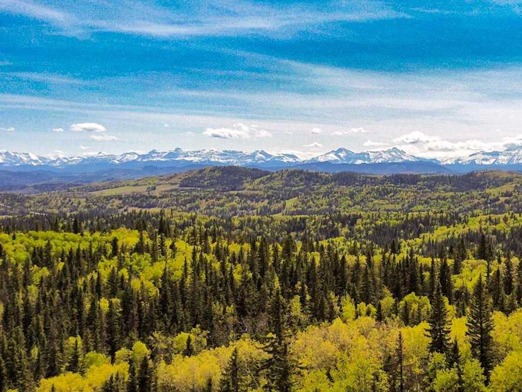 242154 306 Street West, Foothills County, AB, T0L 1K0 - 24