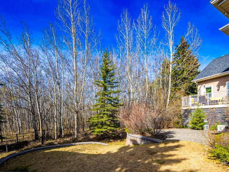 8 Spring Willow Place Southwest, Calgary, AB, T3H 5Z3 - 44