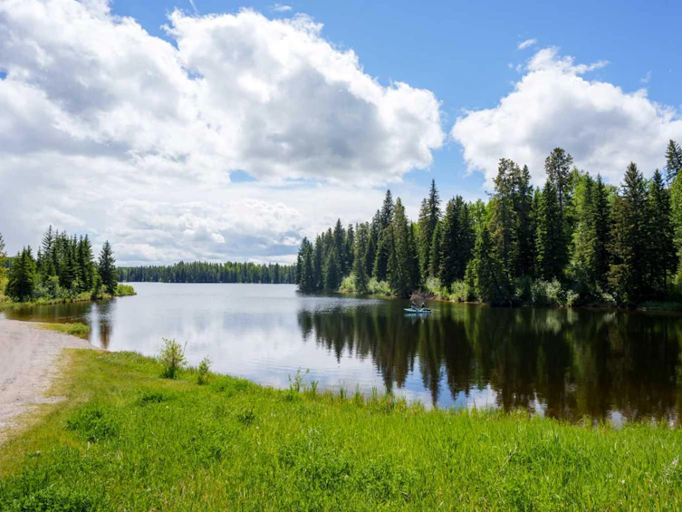 58 Beaver Run Run, Rural Clearwater County, AB, T0M 0M0 - 33