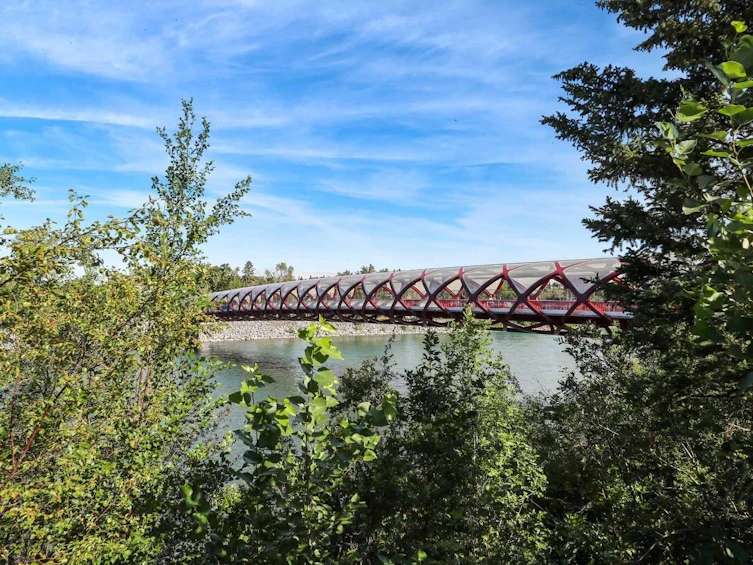 210-804 3 Avenue SW, Calgary, AB, T2P 0G9 - 42