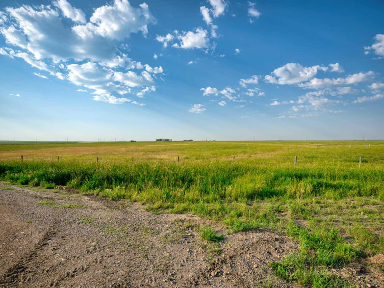 182020 Range Road 254, Vulcan, AB, T0L 0L0 - 11