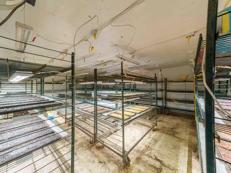 245016 Township Road 30 2, Rural Kneehill County, AB, T0M 0L0 - 30