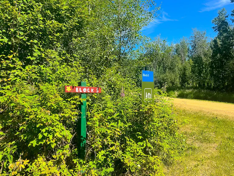 Block 5 Lot 4, Big Lakes County, AB, T0G 1E0 - 6