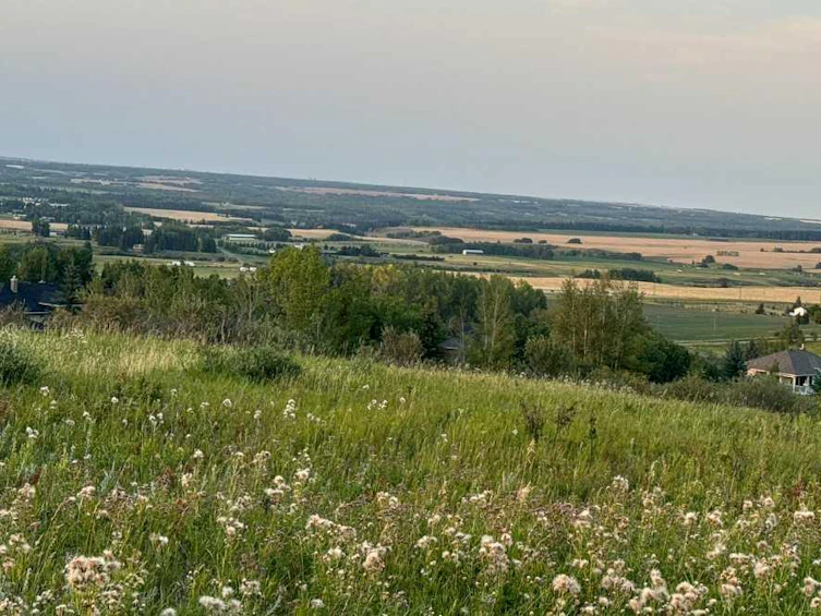 8 Red Willow Court, Foothills County, AB, T2X 0X0 - 16