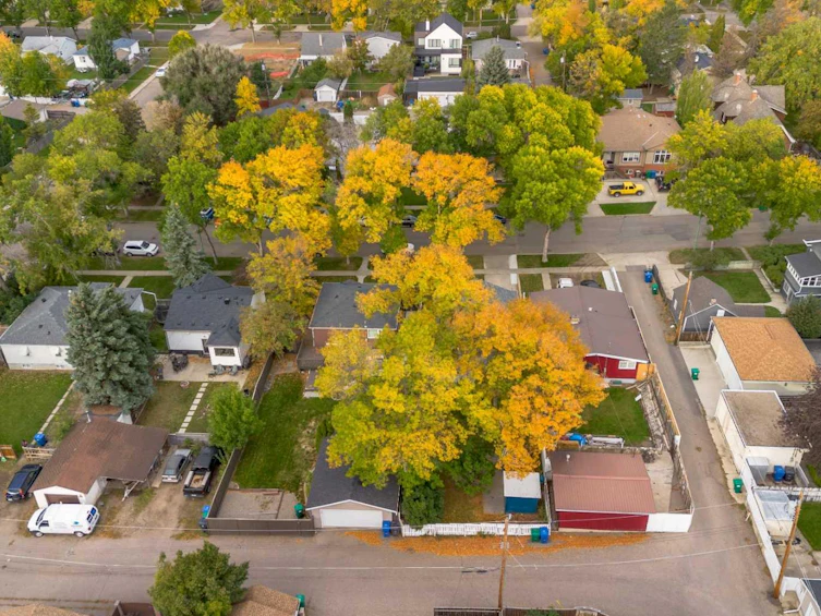 715 20 Street S, Lethbridge, AB, T1J 3J3 - 46