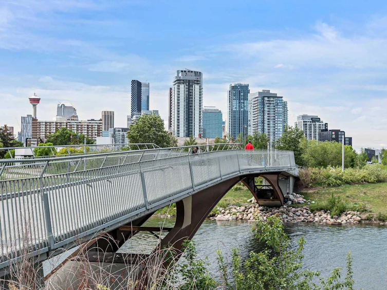 724 14a Street SE, Calgary, AB, T2G 4K8 - 42