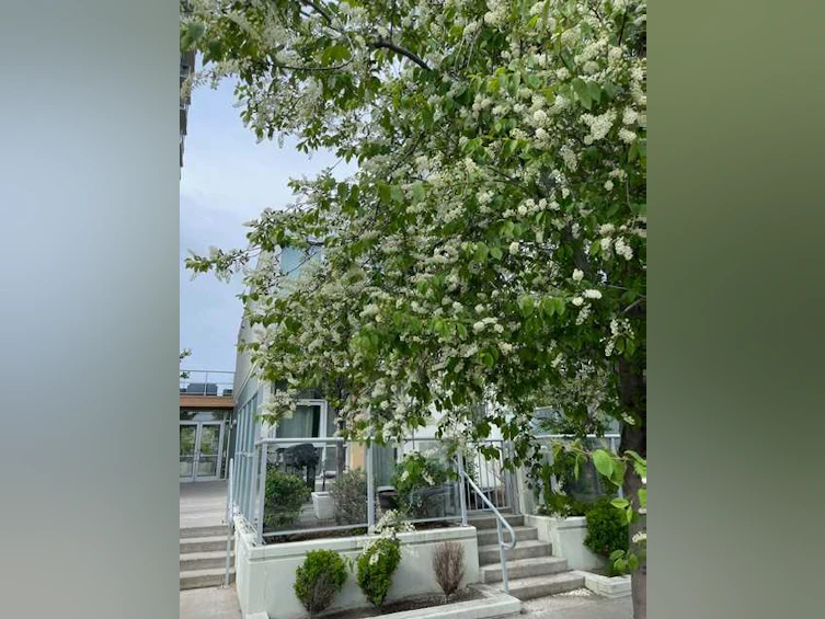 132-99 Spruce Place SW, Calgary, AB, T3C 3X7 - 35
