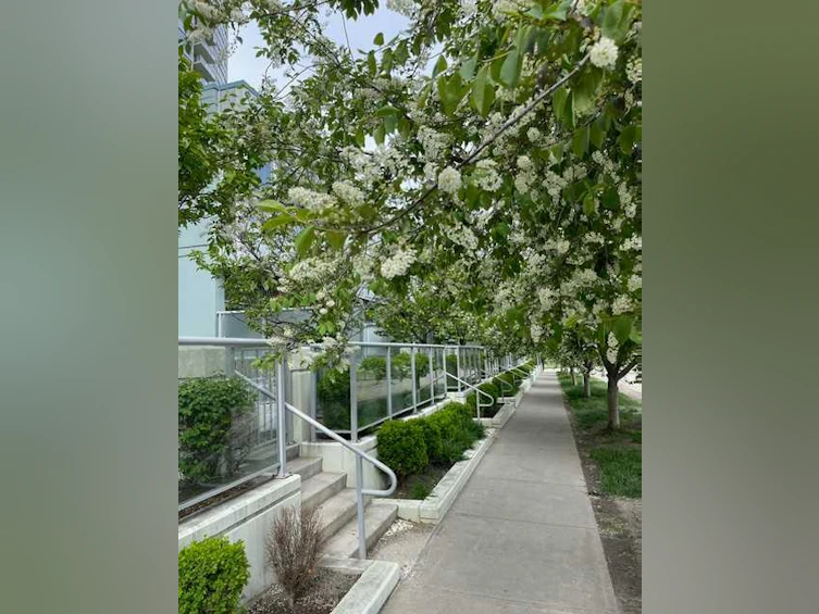 132-99 Spruce Place SW, Calgary, AB, T3C 3X7 - 36