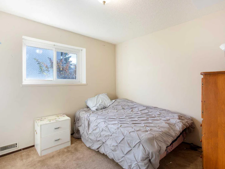 4641 69 Street NW, Calgary, AB, T3B 2K3 - 19