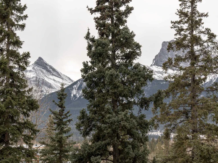 309-191 Kananaskis Way, Canmore, AB, T1W 0A8 - 17