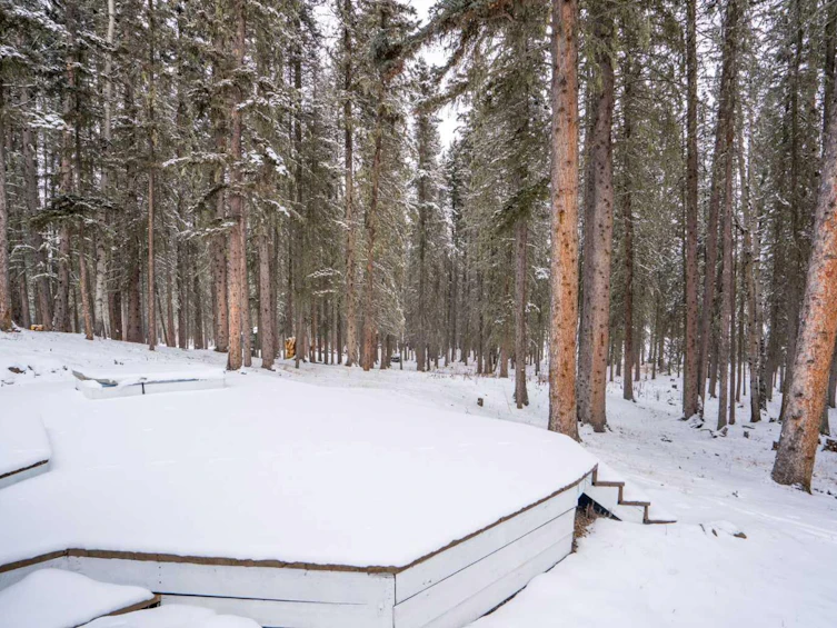 66 Moose Drive, Rural Rocky View County, AB, T0L 0K0 - 38