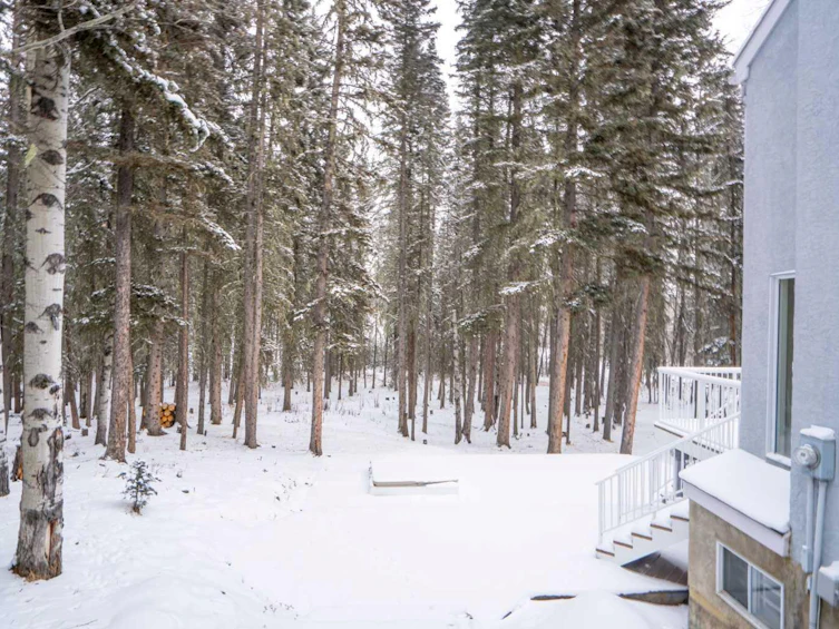66 Moose Drive, Rural Rocky View County, AB, T0L 0K0 - 39