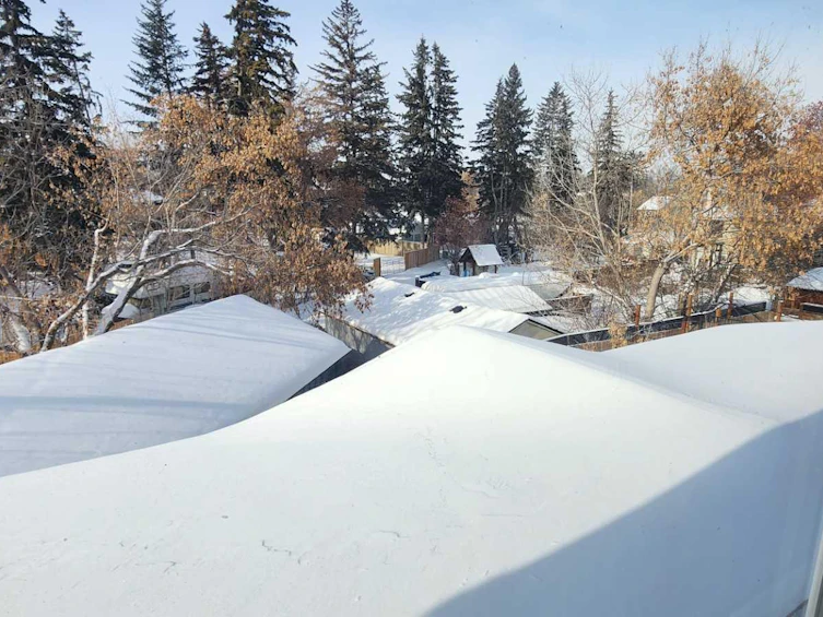 5328 44 Avenue, Red Deer, AB, T4N 3J2 - 44