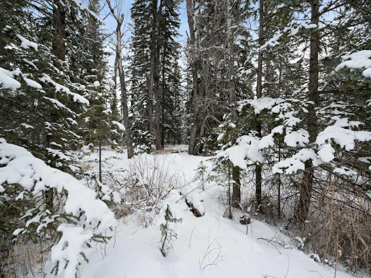 203-30 Discovery Ridge Close SW, Calgary, AB, T3H 5X5 - 46